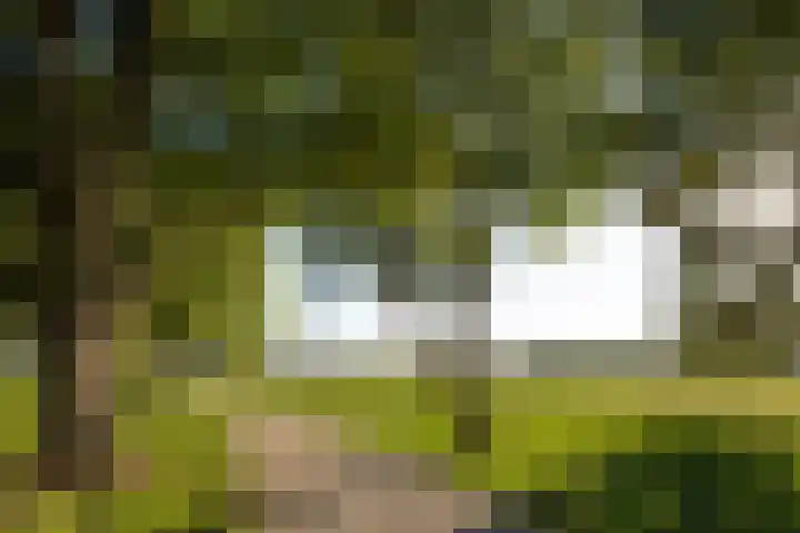 Parklaan 4 's-Hertogenbosch thumbnail 39