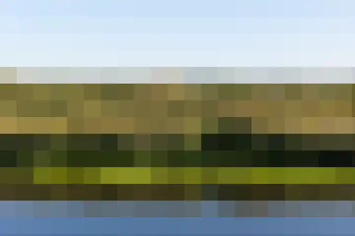 Parklaan 4 's-Hertogenbosch thumbnail 40