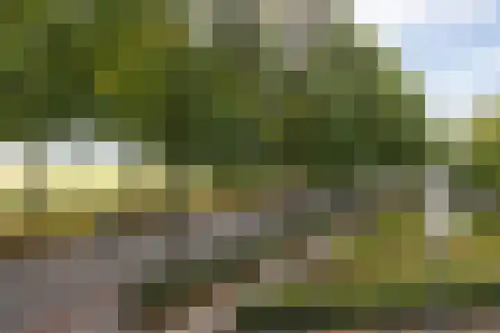 Parklaan 4 's-Hertogenbosch thumbnail 43