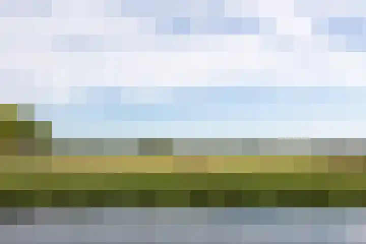 Parklaan 4 's-Hertogenbosch thumbnail 5