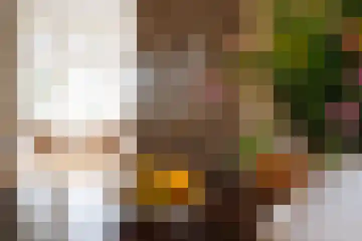 Parklaan 4 's-Hertogenbosch thumbnail 6