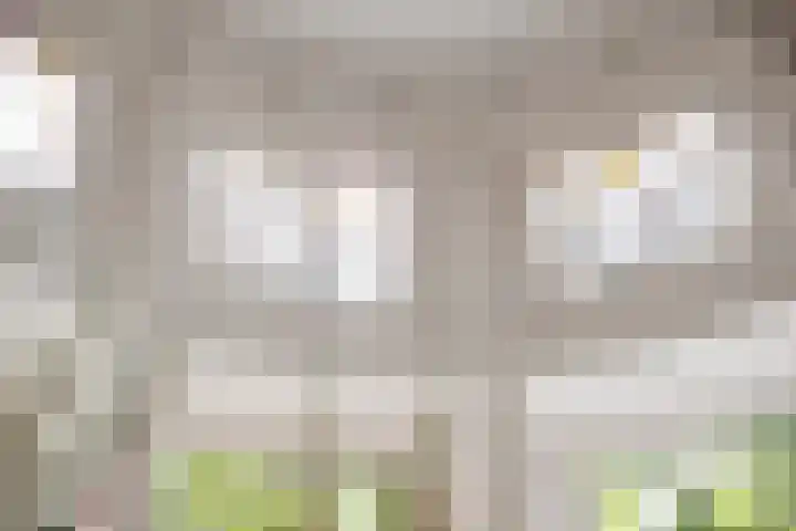 Parklaan 4 's-Hertogenbosch thumbnail 7