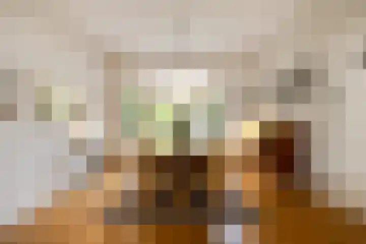 Parklaan 4 's-Hertogenbosch thumbnail 9