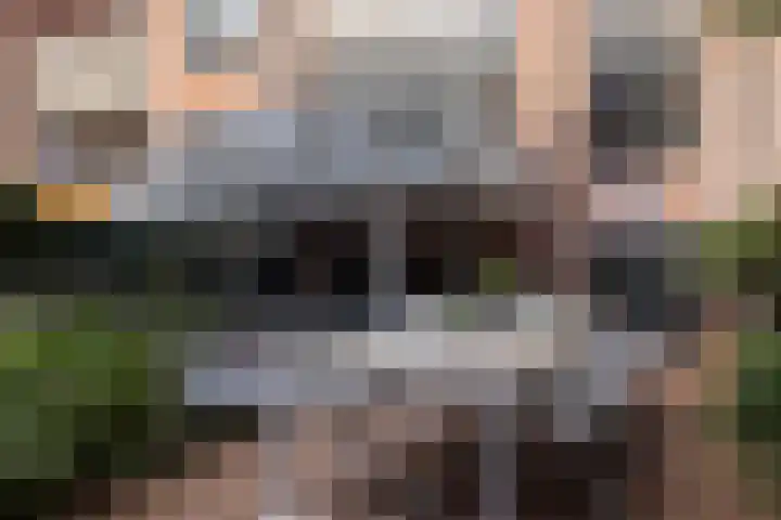 Parklaan 40 B Rotterdam thumbnail 14