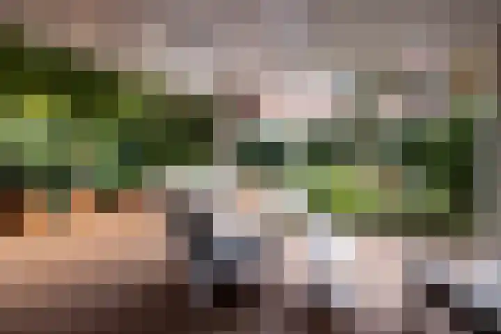 Parklaan 40 B Rotterdam thumbnail 17