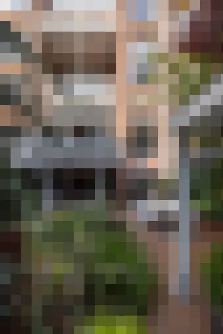Parklaan 40 B Rotterdam thumbnail 18