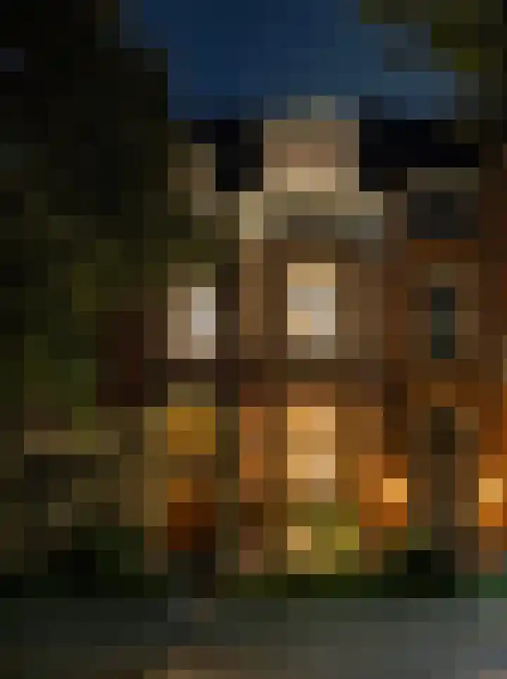 Parklaan 40 B Rotterdam thumbnail 43