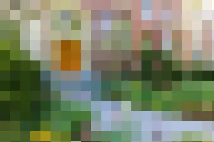 Parklaan 40 B Rotterdam thumbnail 5