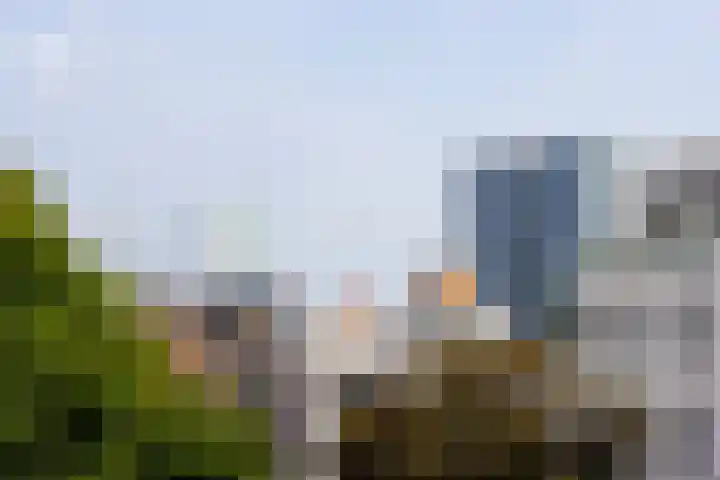 Parklaan 40 B Rotterdam thumbnail 55