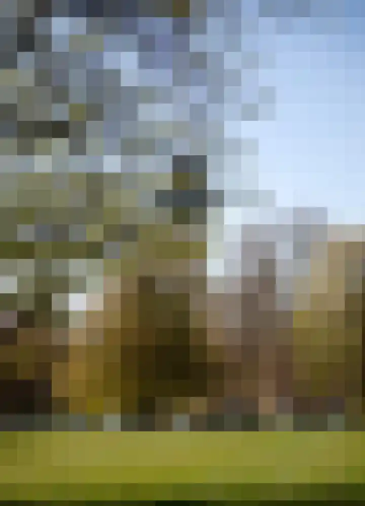 Parklaan 40 B Rotterdam thumbnail 58