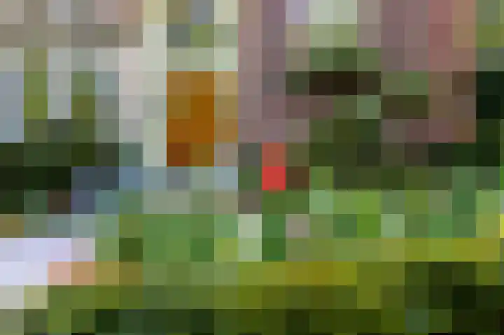 Parklaan 40 B Rotterdam thumbnail 6