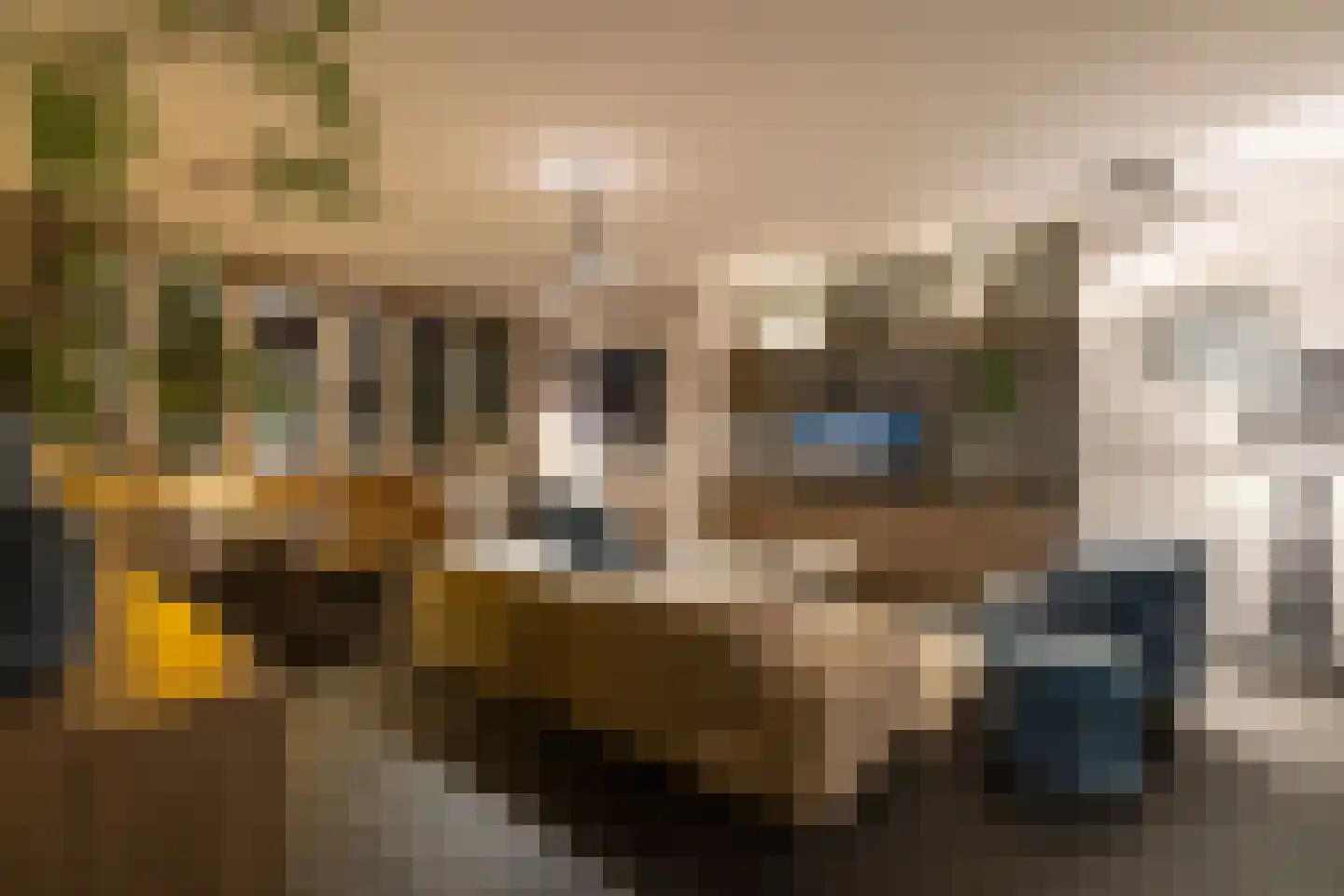 Parklaan 40 D Rotterdam thumbnail 15