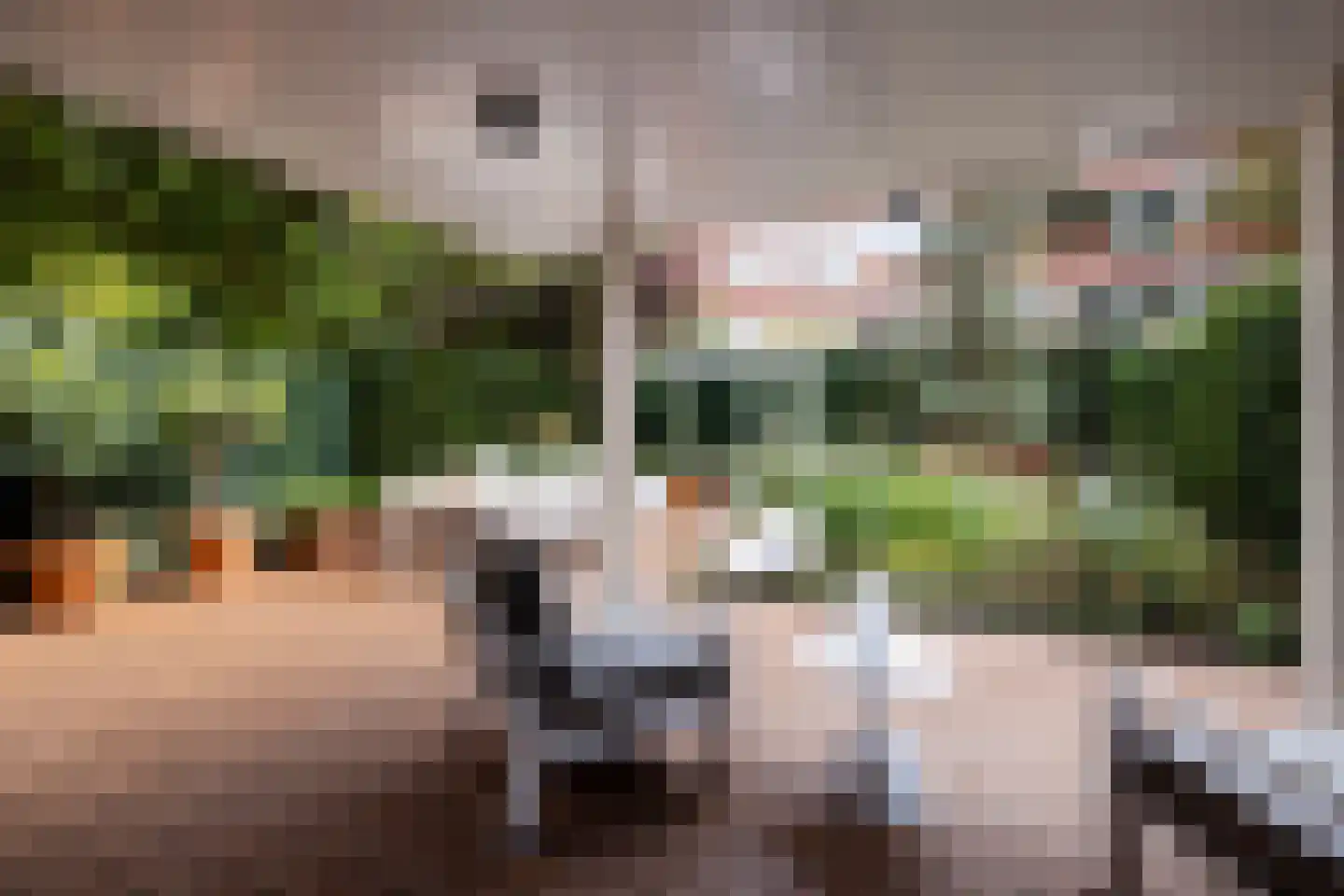 Parklaan 40 D Rotterdam thumbnail 21