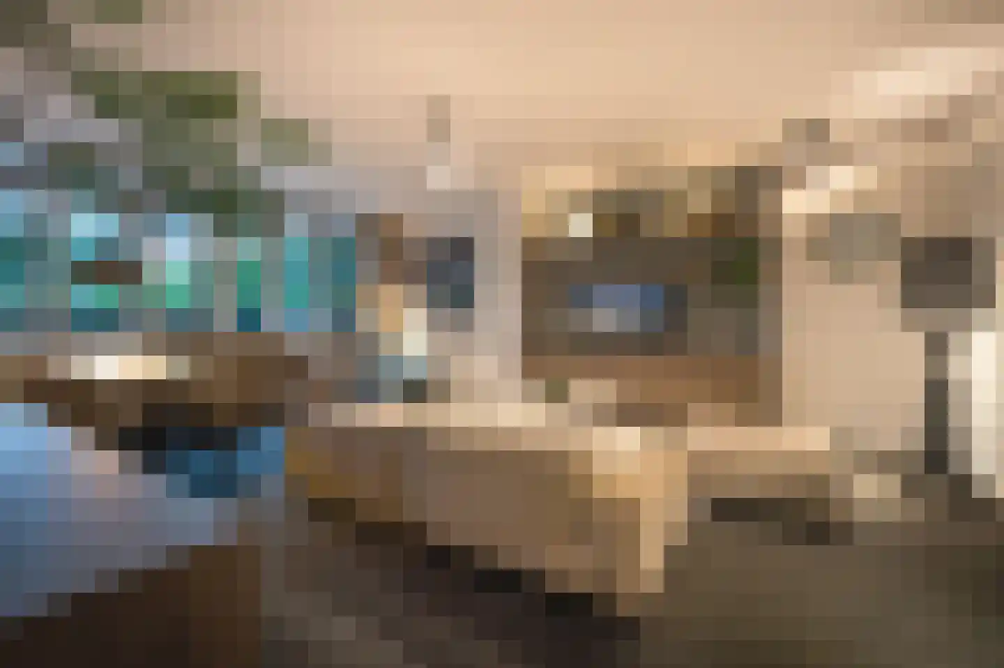 Parklaan 40 G Rotterdam thumbnail 14