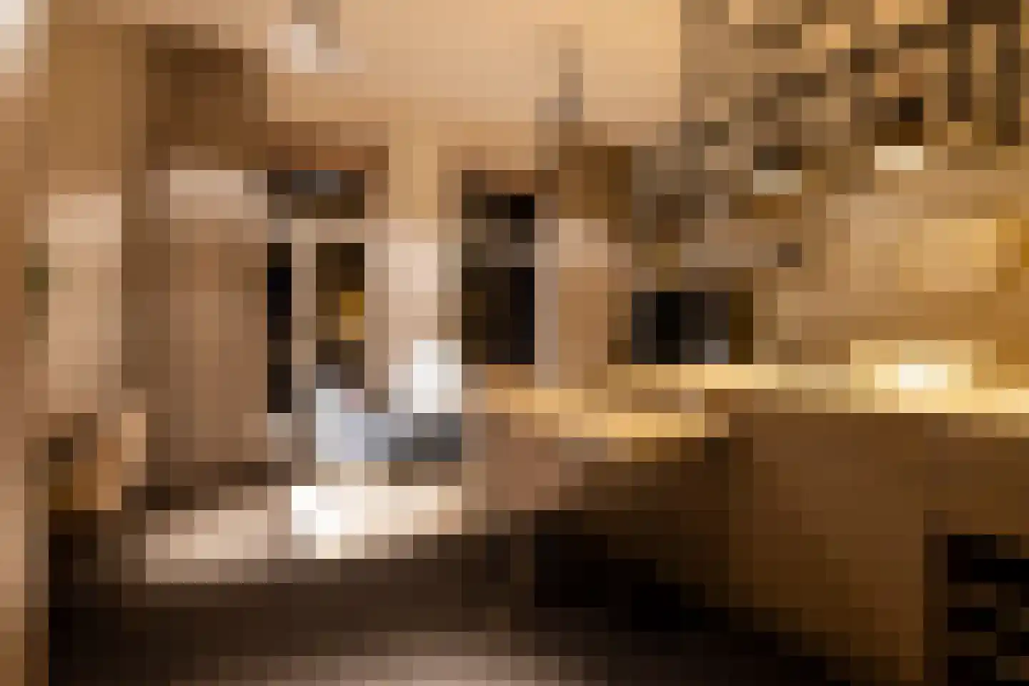 Parklaan 40 G Rotterdam thumbnail 28