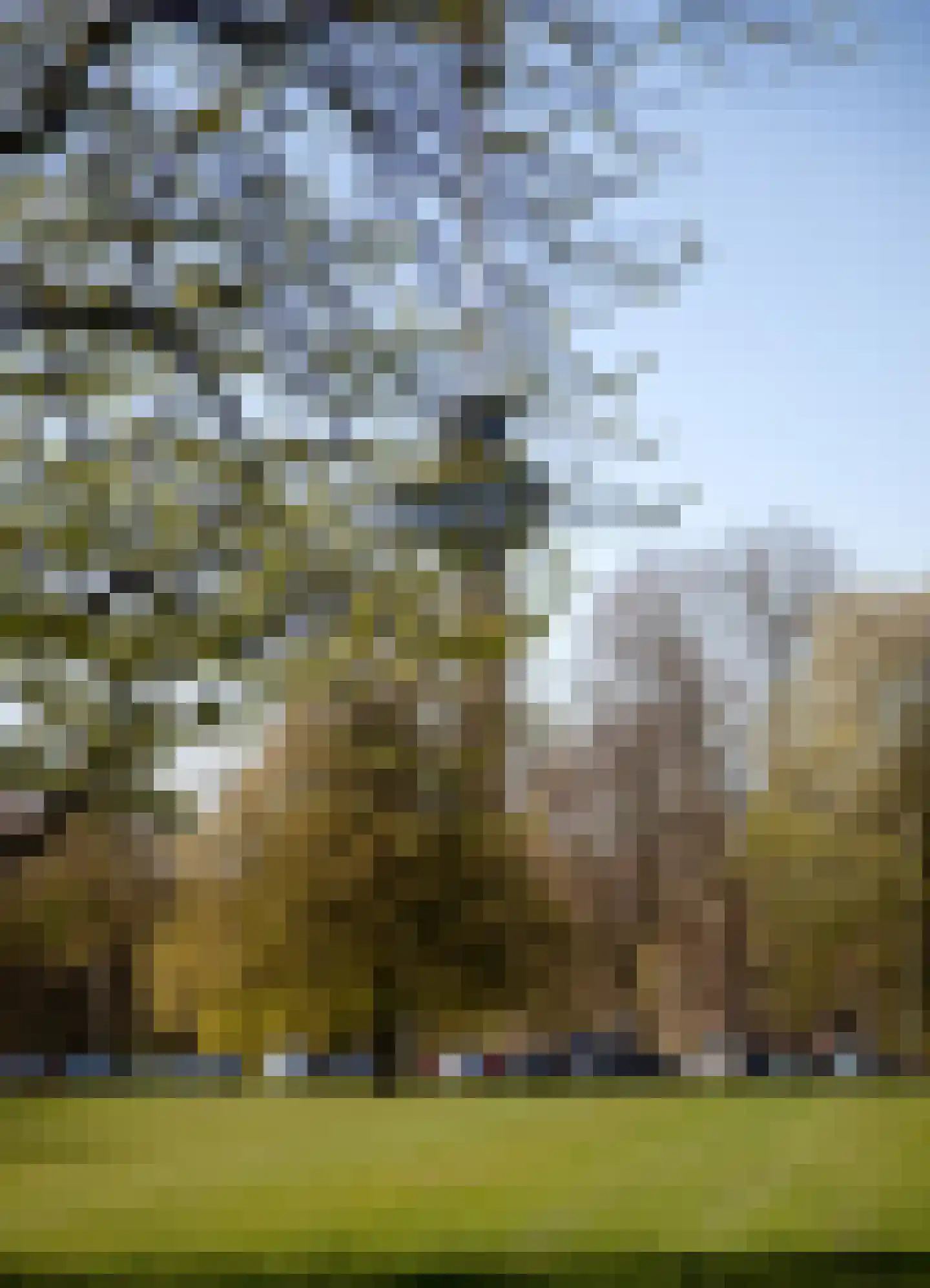 Parklaan 40 G Rotterdam thumbnail 62