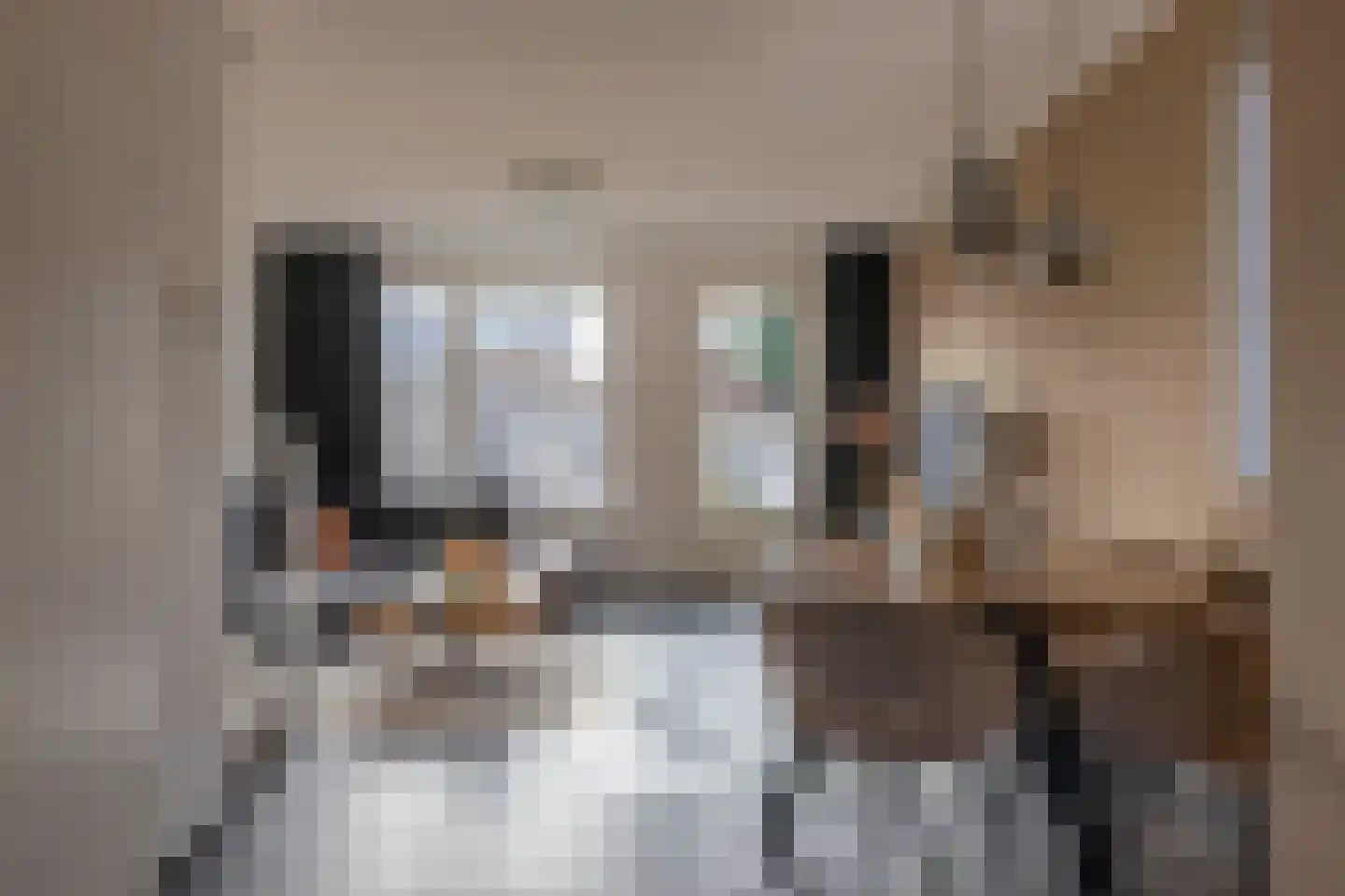Parklaan 40 Grootegast thumbnail 13