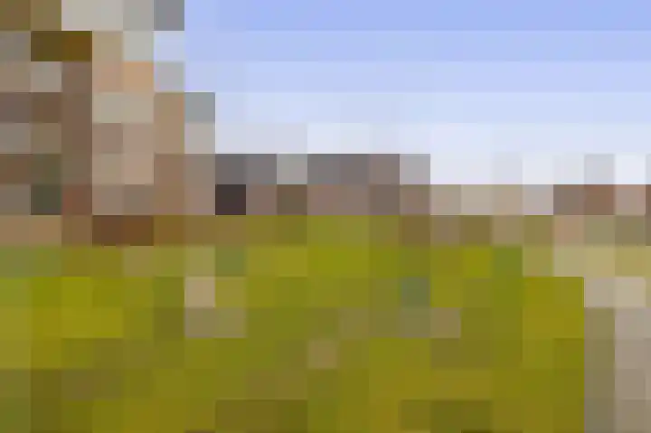 Parklaan 41 B Waddinxveen thumbnail 26