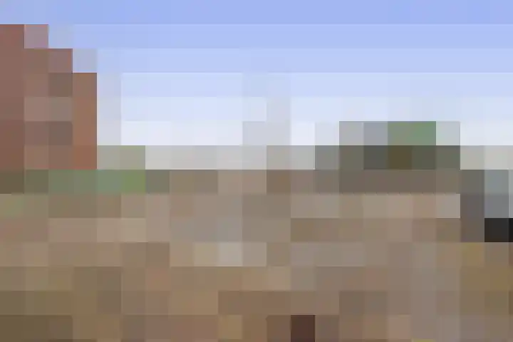 Parklaan 41 B Waddinxveen thumbnail 29