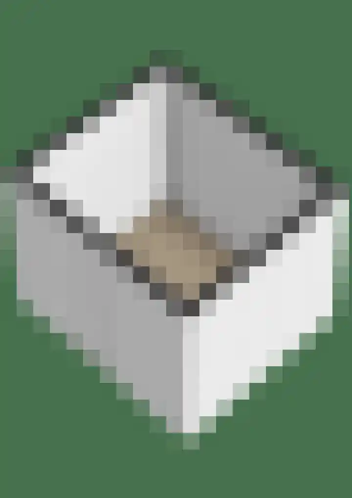 Parklaan 41 B Waddinxveen thumbnail 33