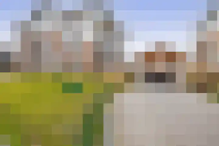 Parklaan 41 B Waddinxveen thumbnail 4