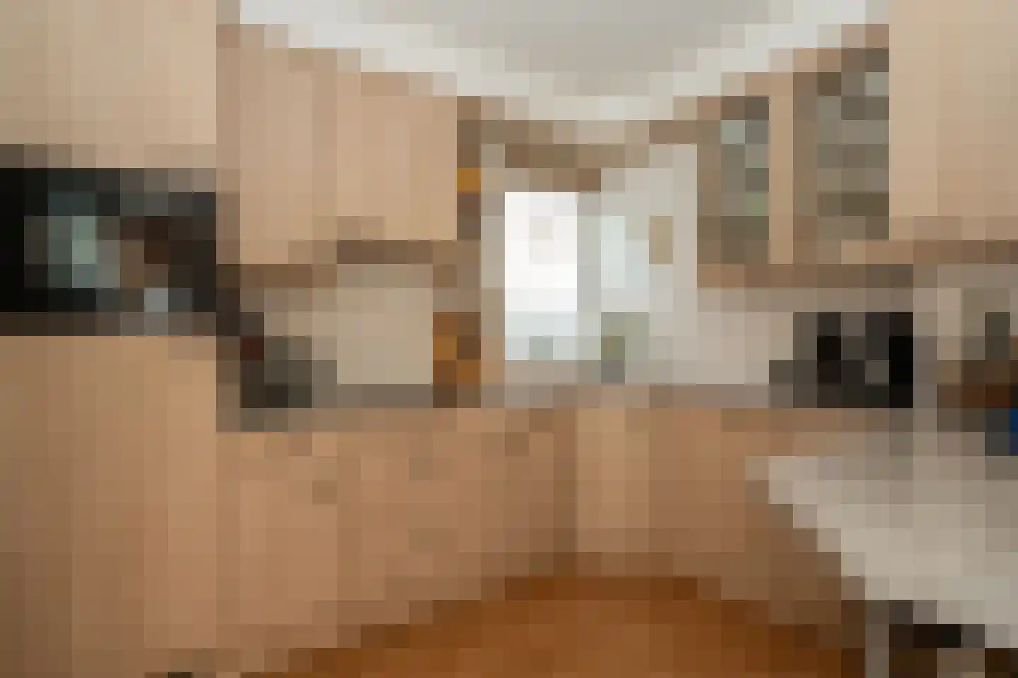 Parklaan 41 Nieuw-Buinen thumbnail 10