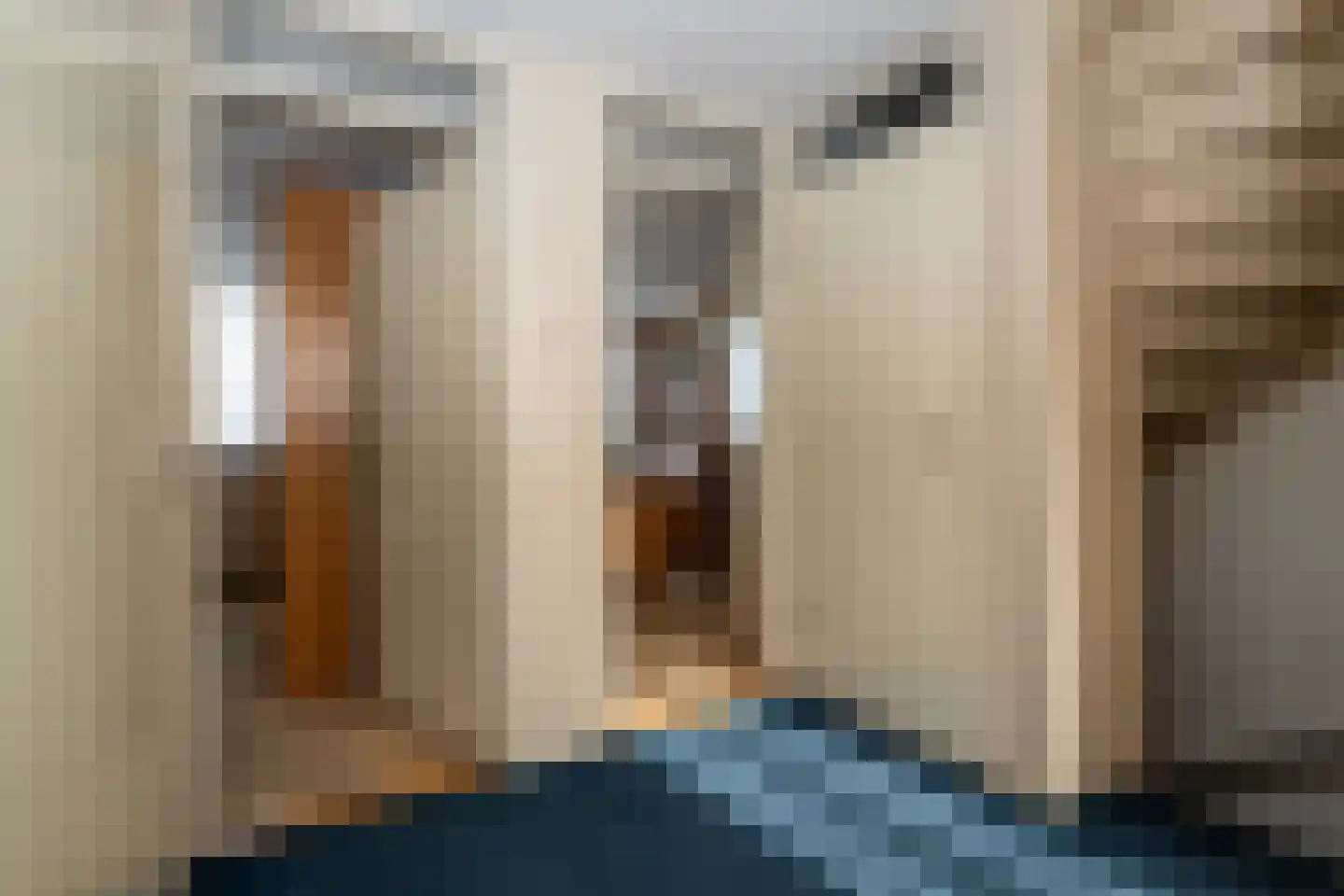 Parklaan 41 Nieuw-Buinen thumbnail 24