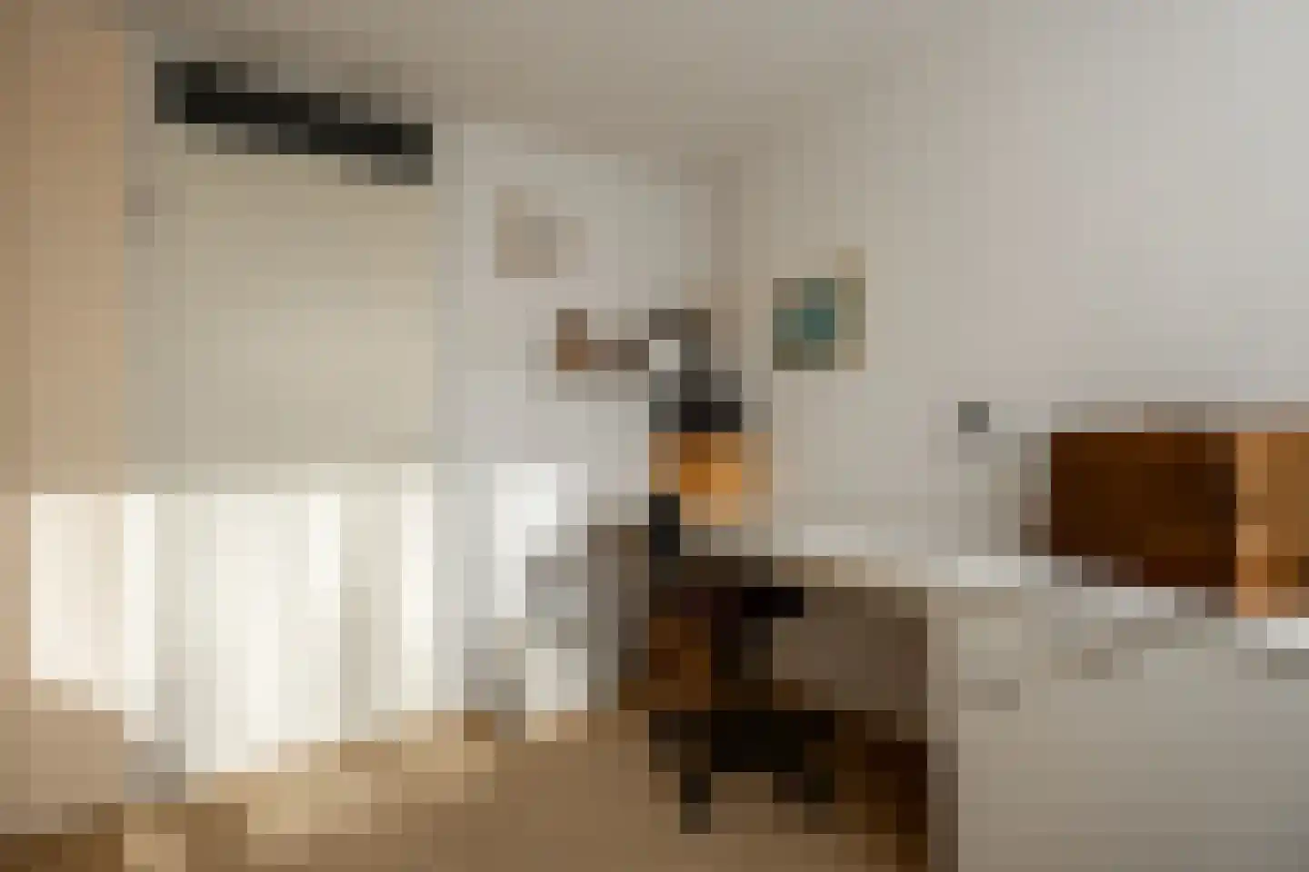 Parklaan 41 Nieuw-Buinen thumbnail 28