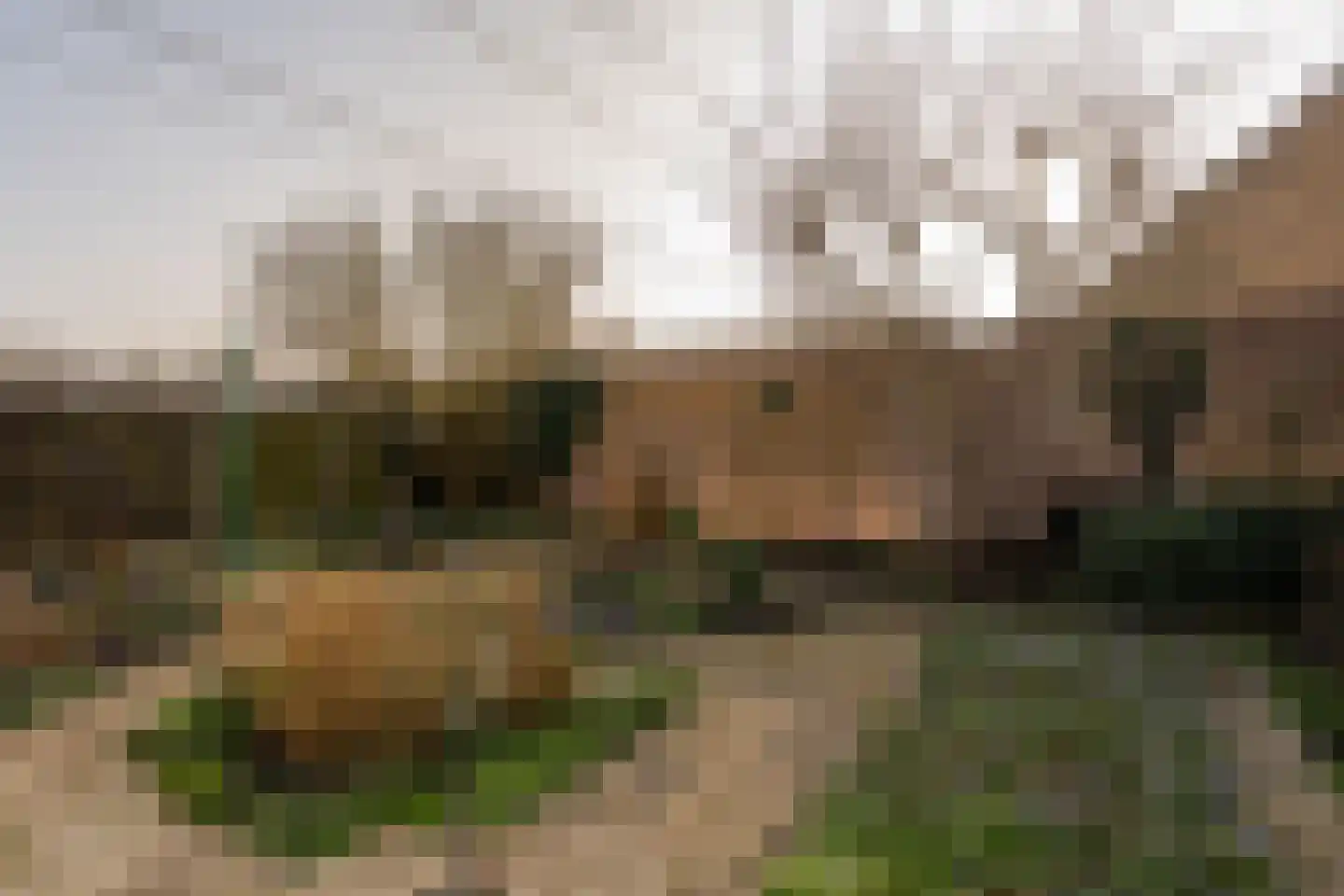 Parklaan 41 Nieuw-Buinen thumbnail 34