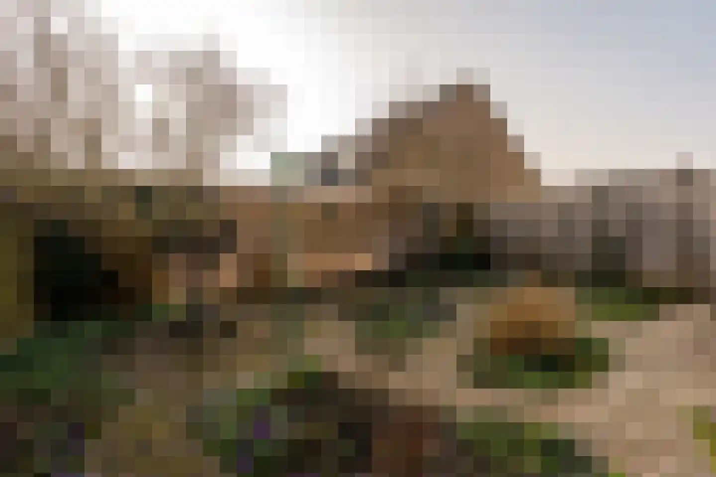 Parklaan 41 Nieuw-Buinen thumbnail 36