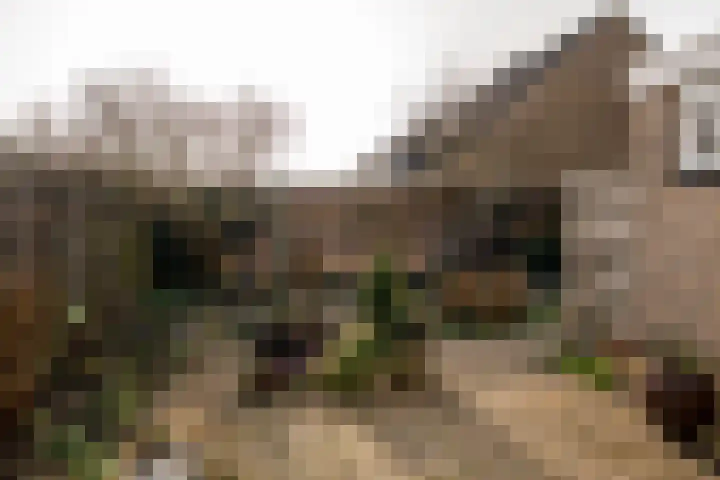 Parklaan 41 Nieuw-Buinen thumbnail 40