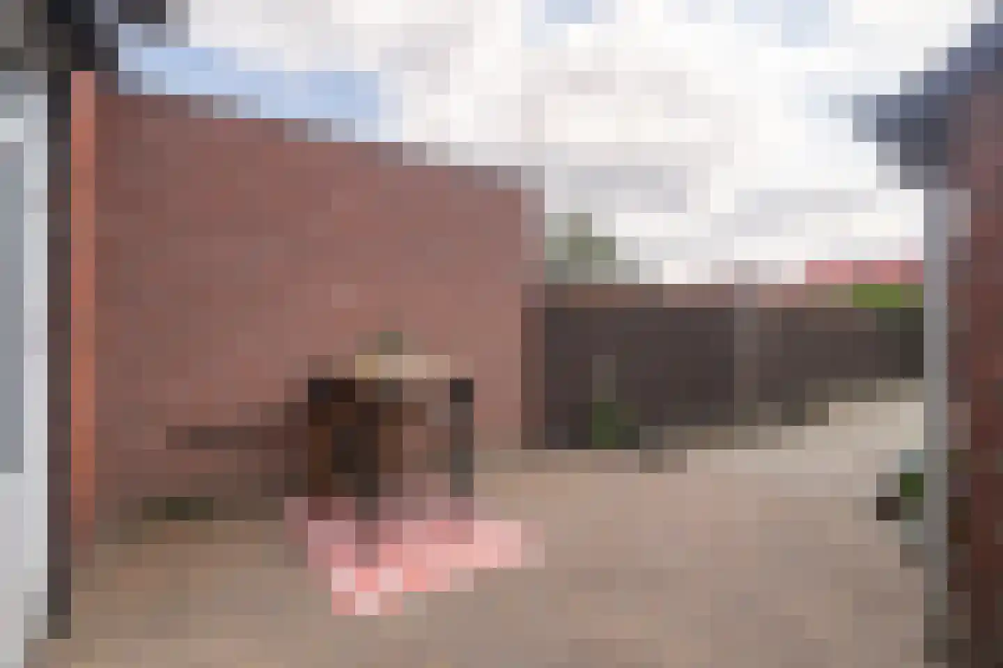 Parklaan 41 Reuver thumbnail 17