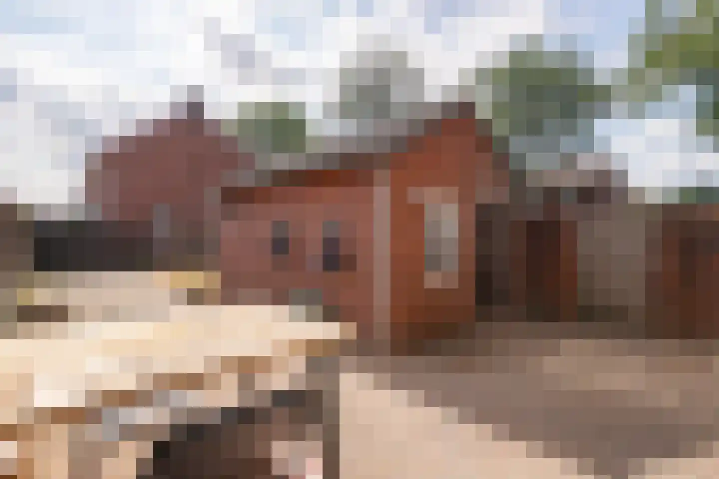 Parklaan 41 Reuver thumbnail 19