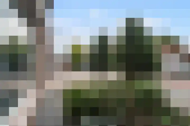 Parklaan 42 Stramproy thumbnail 10