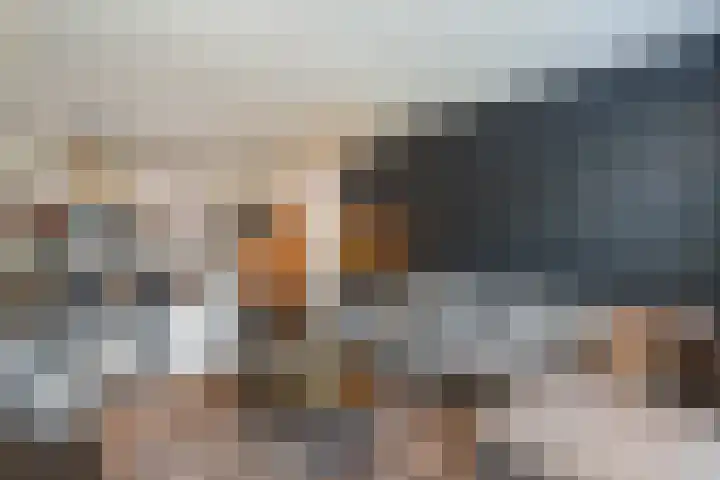 Parklaan 42 Stramproy thumbnail 15