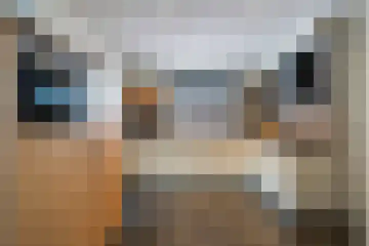 Parklaan 42 Stramproy thumbnail 18