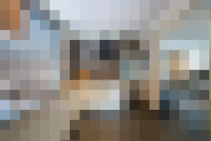 Parklaan 42 Stramproy thumbnail 19