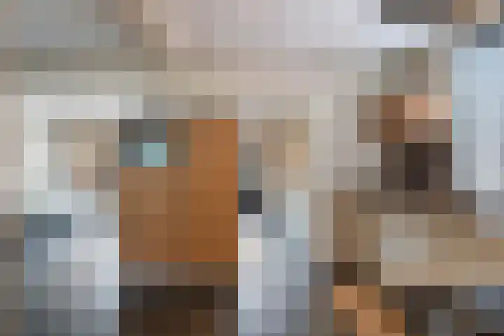 Parklaan 42 Stramproy thumbnail 20