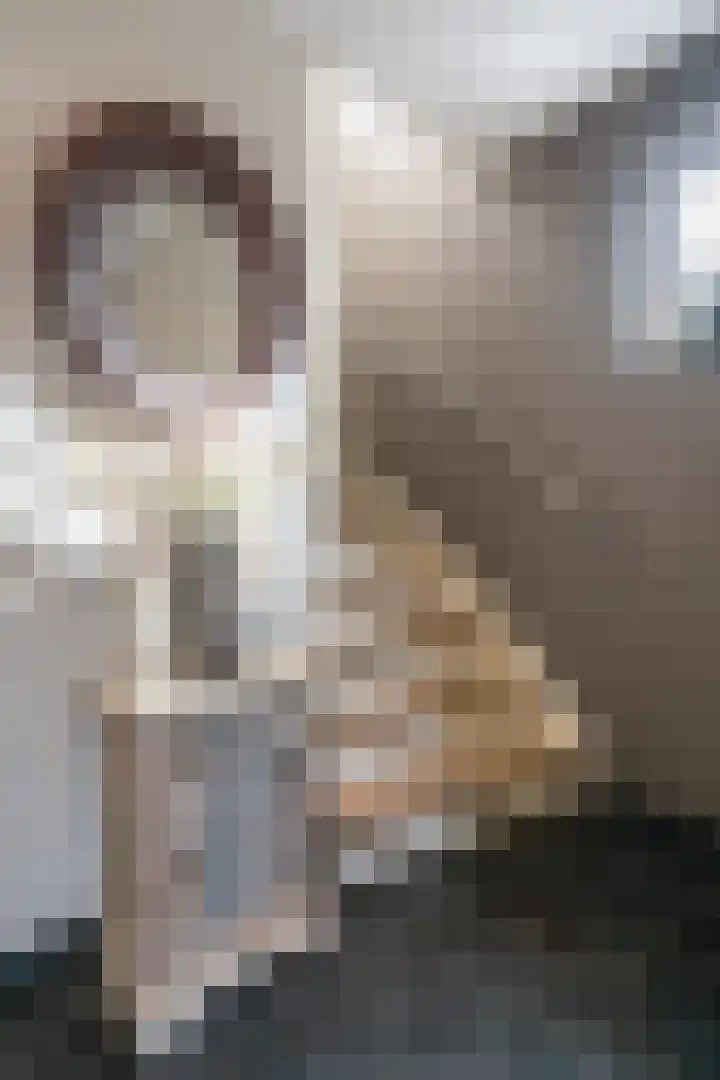 Parklaan 42 Stramproy thumbnail 26