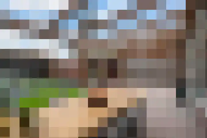 Parklaan 42 Stramproy thumbnail 41