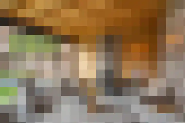 Parklaan 42 Stramproy thumbnail 48