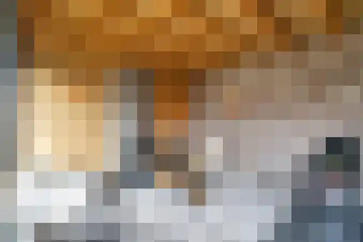 Parklaan 42 Stramproy thumbnail 49