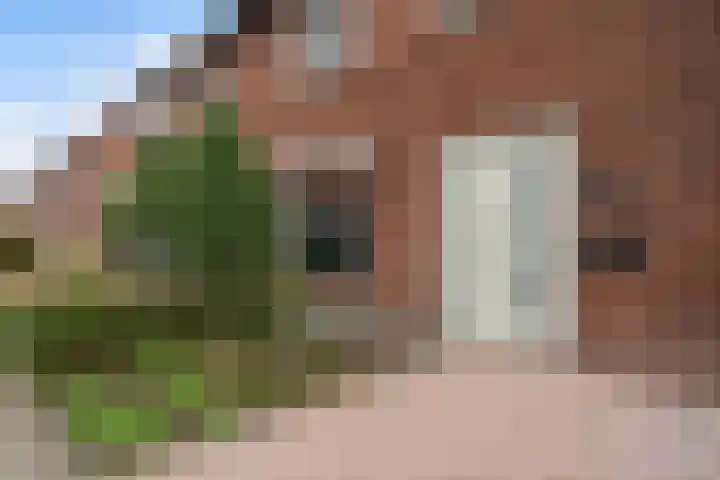 Parklaan 42 Stramproy thumbnail 9