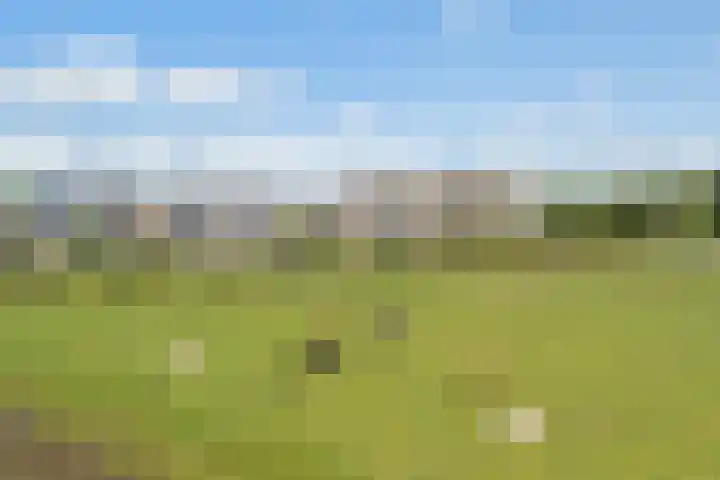 Parklaan 44 Woerden thumbnail 4