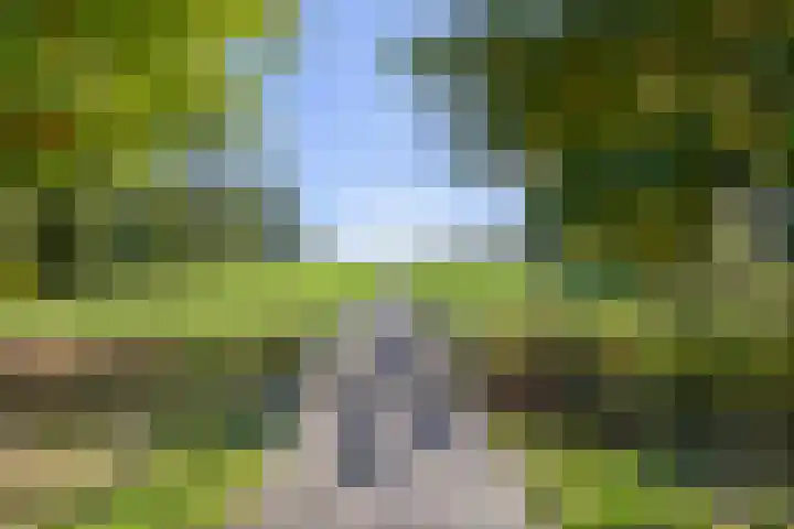Parklaan 44 Woerden thumbnail 41