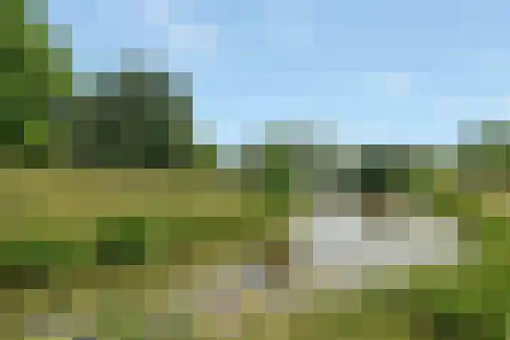 Parklaan 44 Woerden thumbnail 42