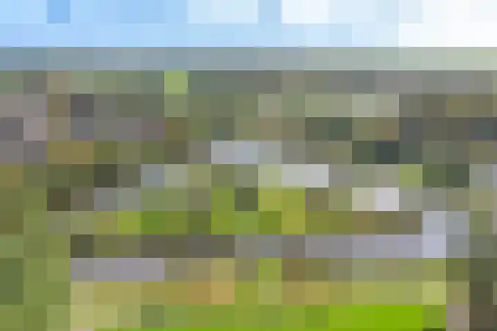 Parklaan 44 Woerden thumbnail 47