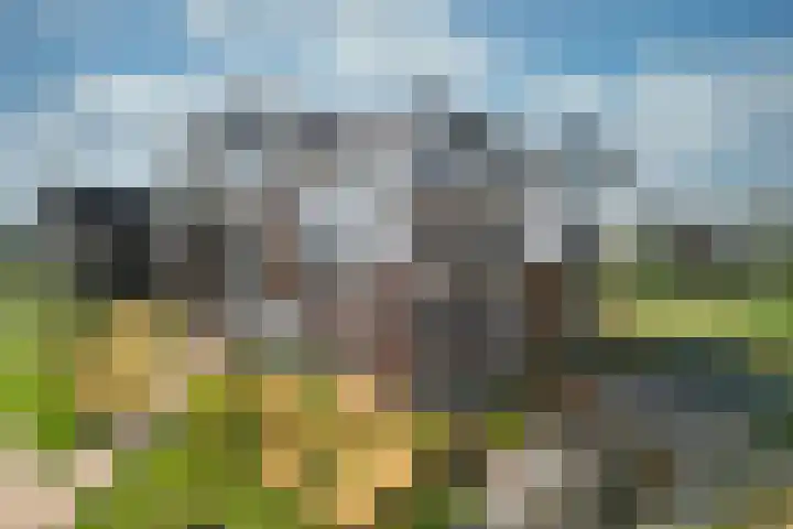 Parklaan 45 A in Waddinxveen