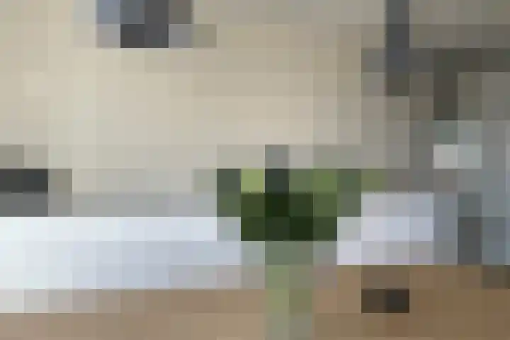 Parklaan 45 A Waddinxveen thumbnail 17