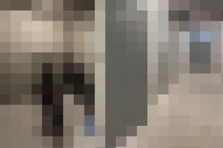 Parklaan 45 A Waddinxveen thumbnail 32